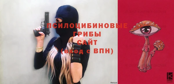 ГАЛЛЮЦИНОГЕННЫЕ ГРИБЫ Абинск