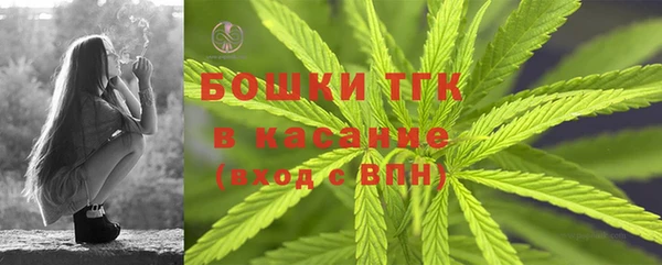 ГАЛЛЮЦИНОГЕННЫЕ ГРИБЫ Абинск