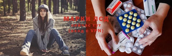 ГАЛЛЮЦИНОГЕННЫЕ ГРИБЫ Абинск